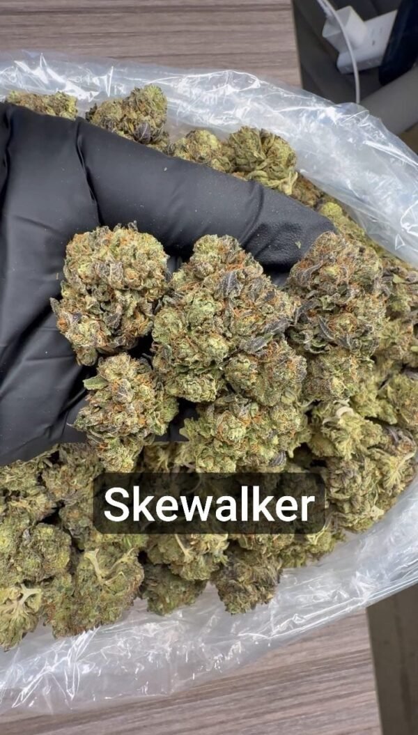Skewalker